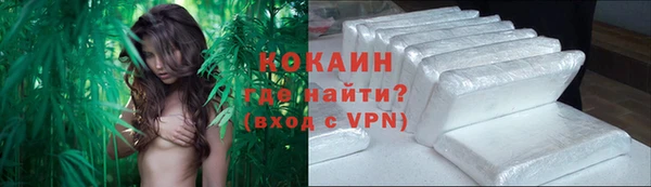 прущие крисы Абаза