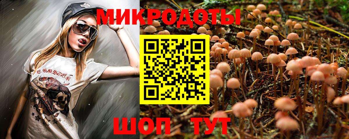 Галлюциногенные грибы Psilocybine cubensis Южноуральск
